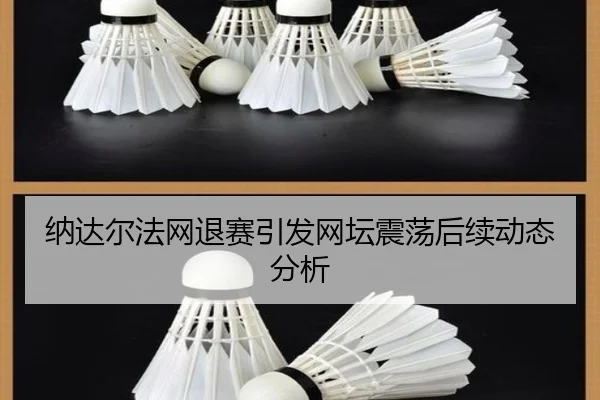 纳达尔法网退赛引发网坛震荡后续动态分析